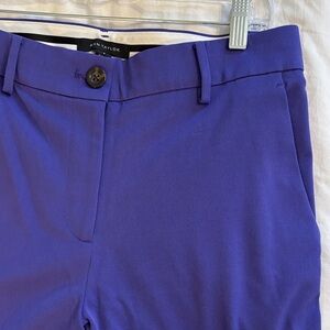 Ann Taylor Royal Purple Straight Leg Pants